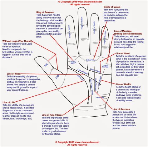 Revealing Your Destiny: Using Occult Palm Reading to See the Future